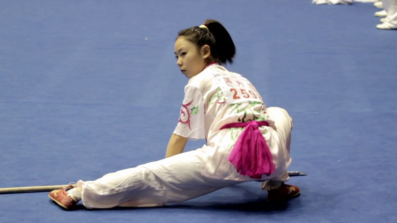 World Wushu Championships