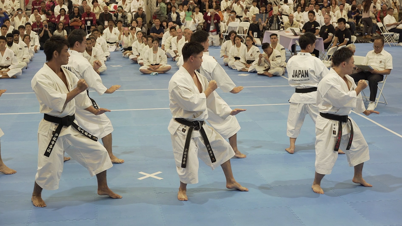 Preview: Shorinji Kempo 70 Years