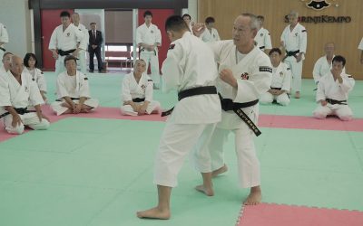 Tsunehiro Arai Sensei Teaching at Shorinji Kempo Hombu