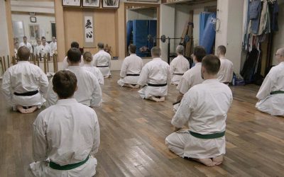 The State of Traditional Martial Arts