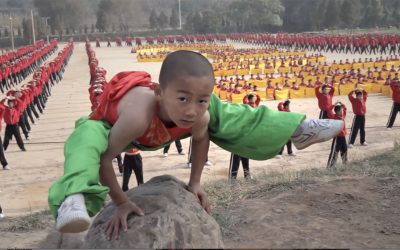 The Truth About Shaolin Temple Performances