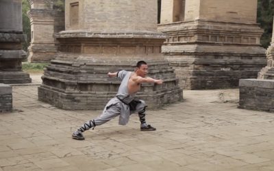 Shaolin Kung Fu in the Pagoda Forest