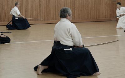 Swordsmanship of the Haga Dojo at the Budokan